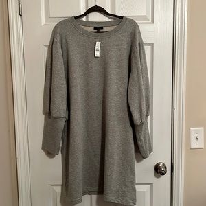 Size XL sweatshirt dress from JCrew. NWT